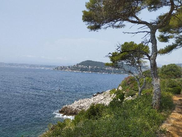 10mm A Pied Des Plages, Olympe Climatise Apartment Antibes